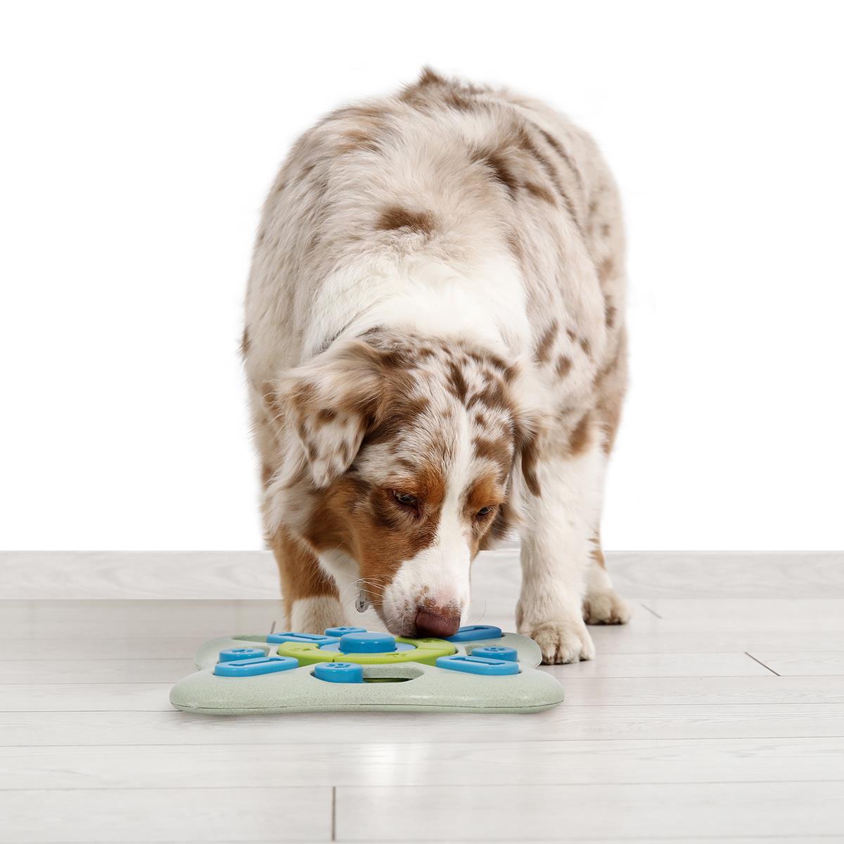 Treat Puzzle Toy Pet Dog Puppy Squeaker Interactive Stimulating Play Enrichment - Picture 17 of 22