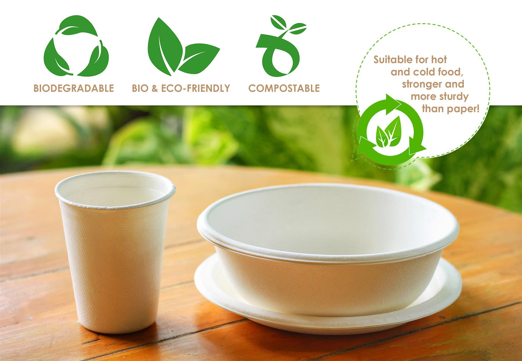 Biodegradable Tableware Cups Plates Compostable Disposable Recyclable