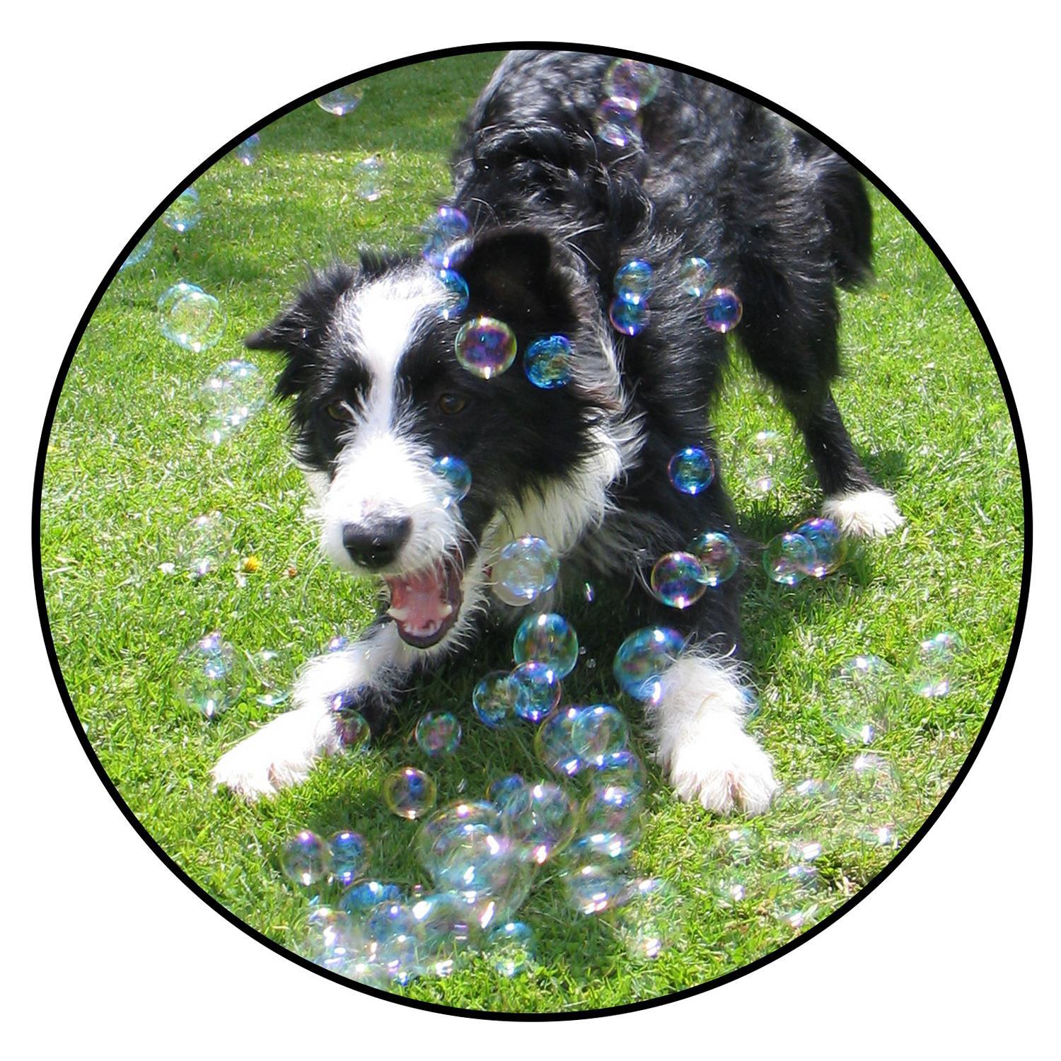Pack of 2 or 4 Pet Bubbles Chicken Beef Scented Dog Puppy Interactive Play Toys - Picture 9 of 11