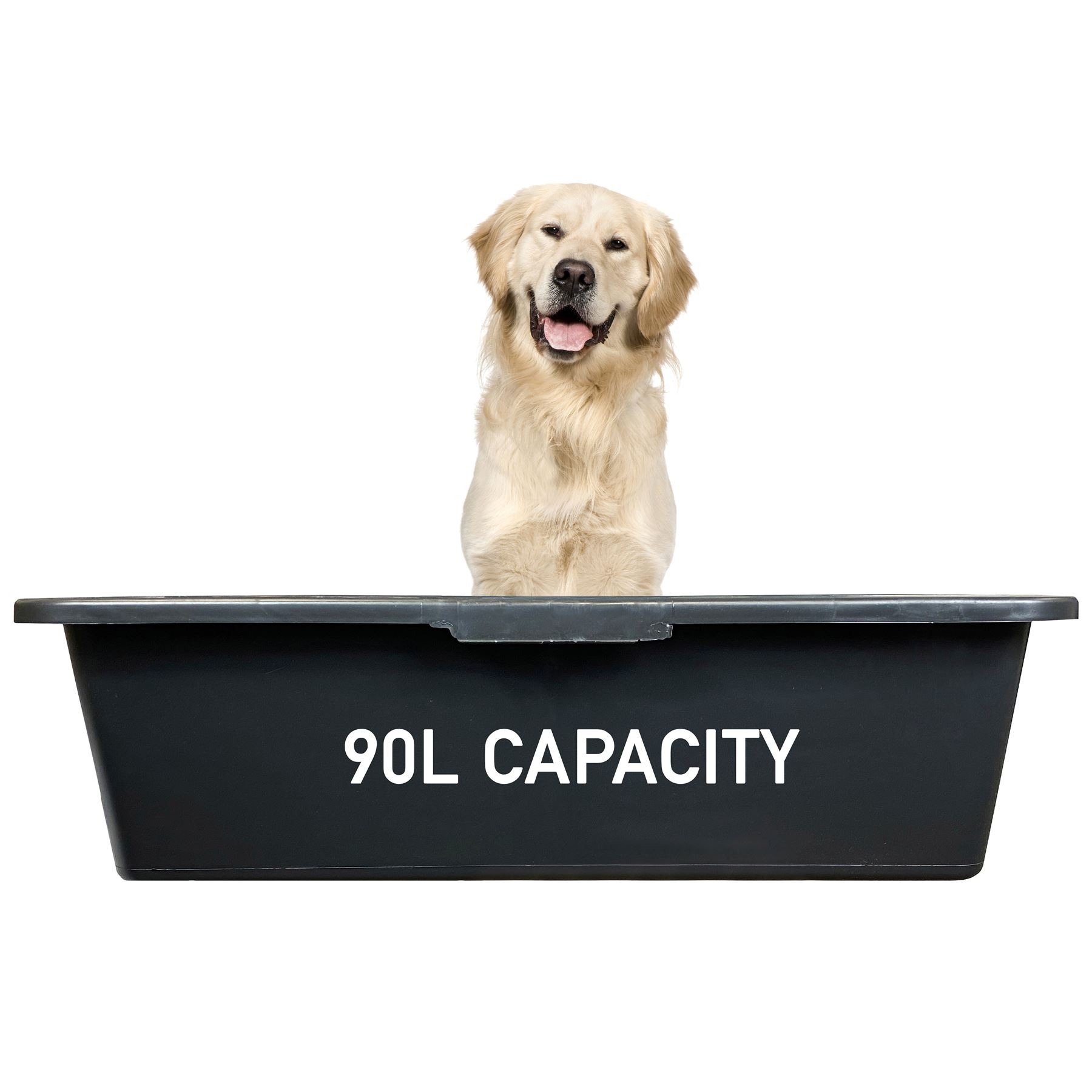 Golden Retriever Dog inside 90L Pet Grooming Wash Basin Tub outdoors