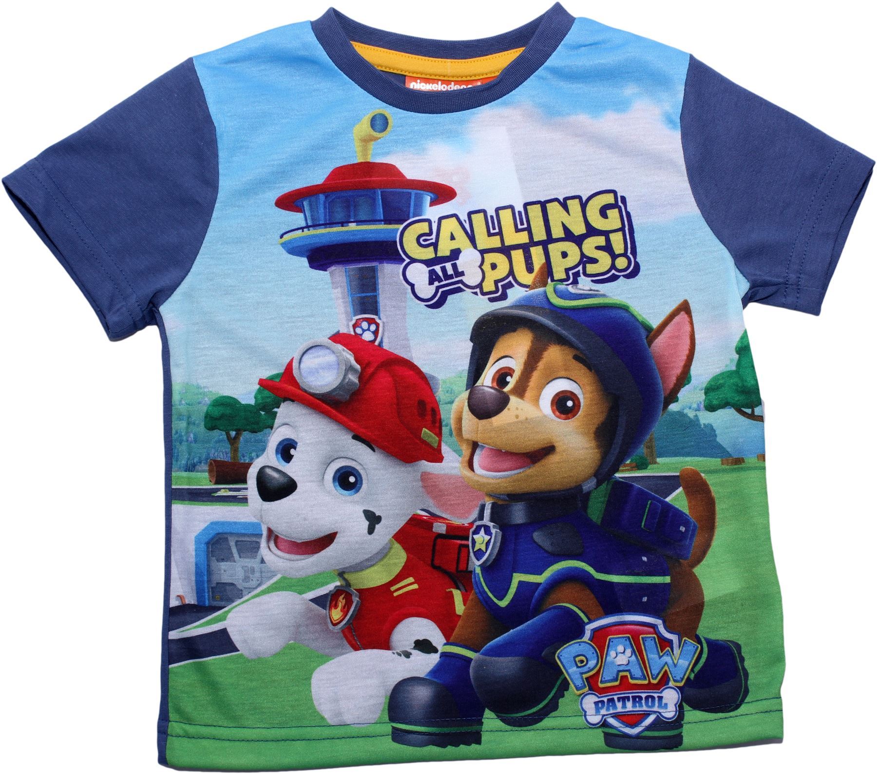 Paw Patrol Boys Short Sleeves T Shirt