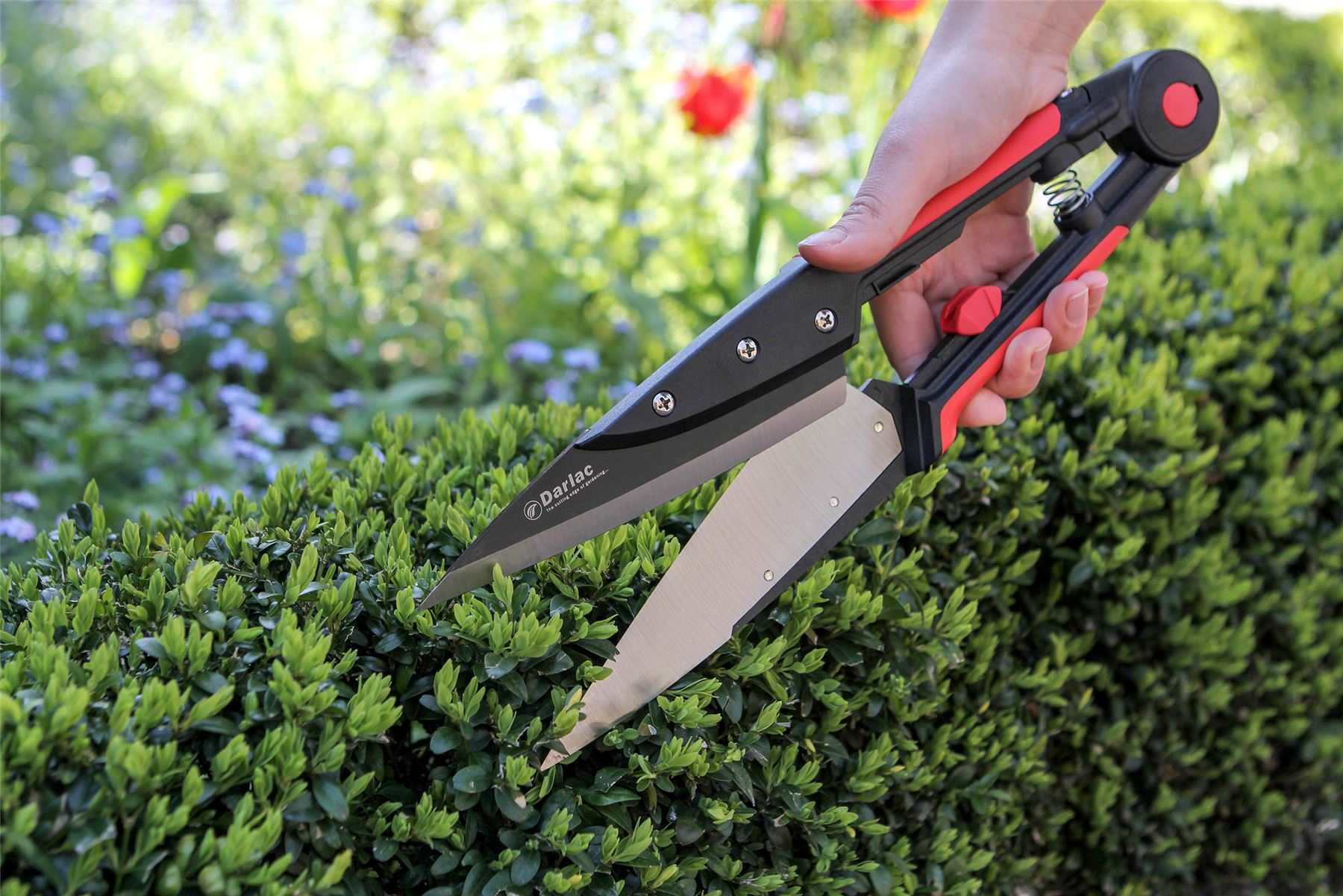 Pruning Shaping Darlac DP1850 Professional Topiary Shear