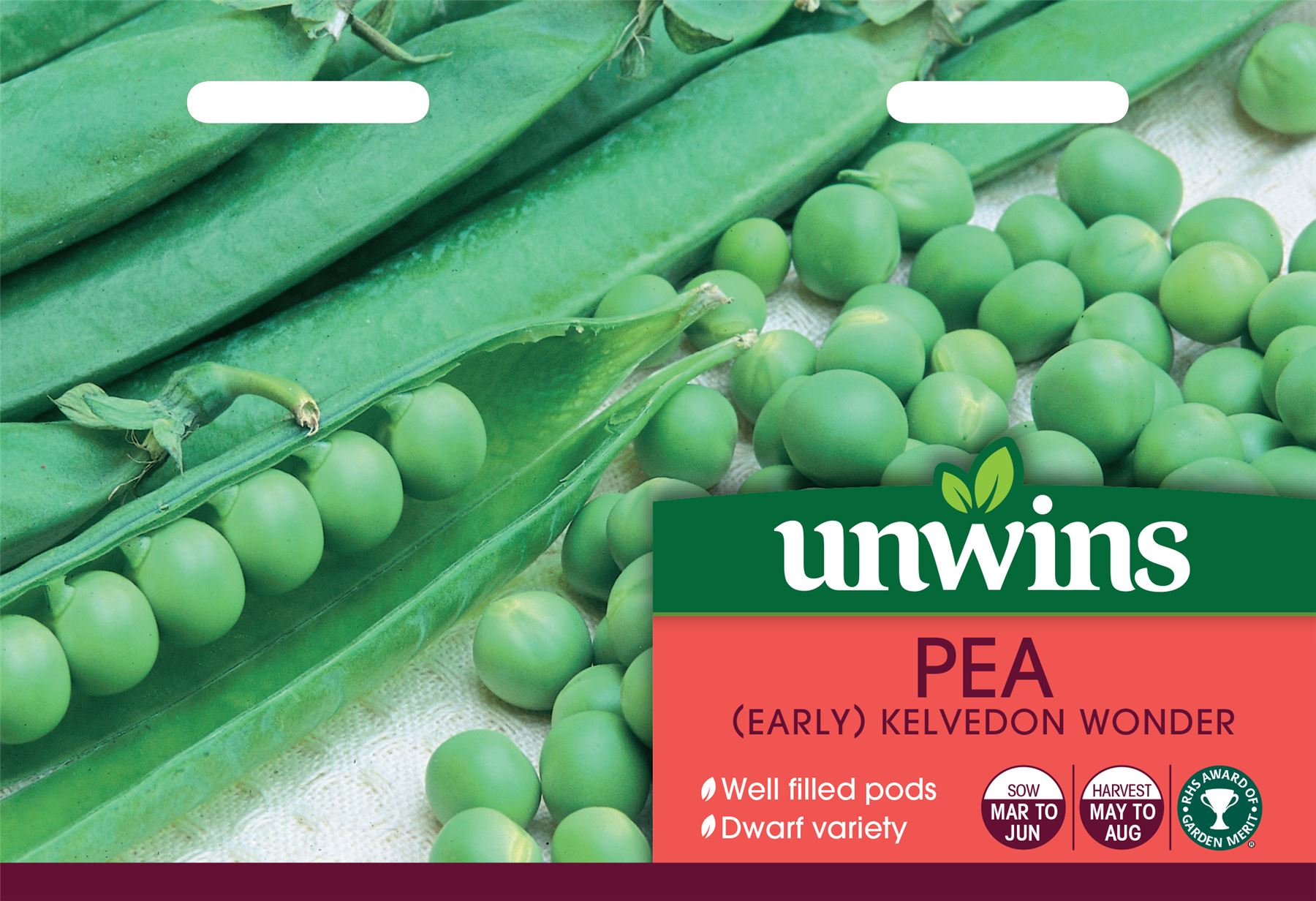 2nd Early KELVEDON WONDER PEA ..reliable short-strawed variety - 300 Seeds