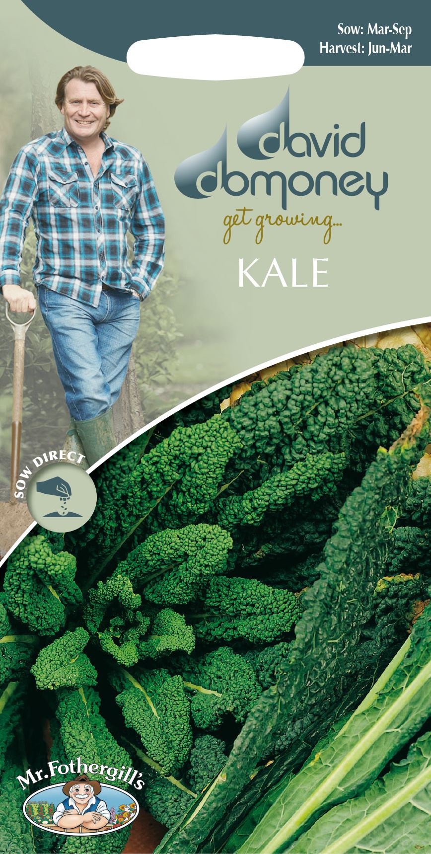 CAVOLO NERO Dinosaur Kale,Tuscany Black Cabbage KALEBORECOLE 200 Seeds