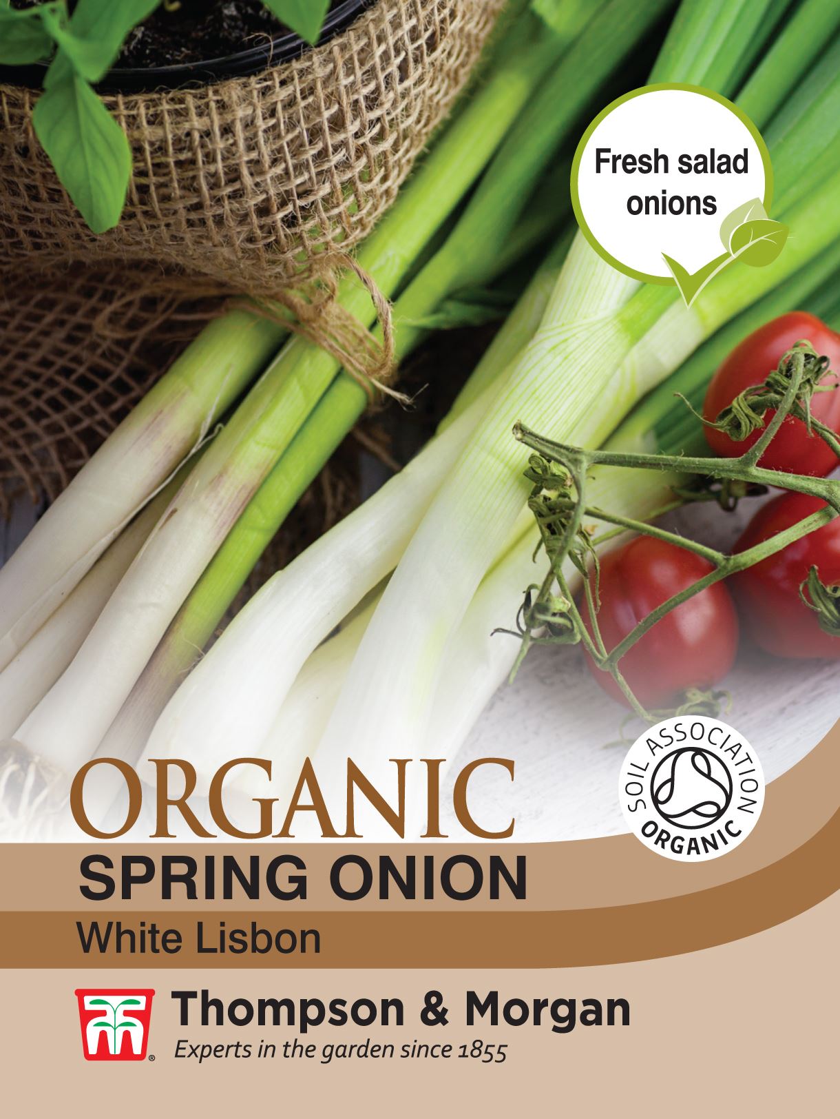 500 Seed Spring Onion White Lisbon Thompson /& Morgan Vegetables