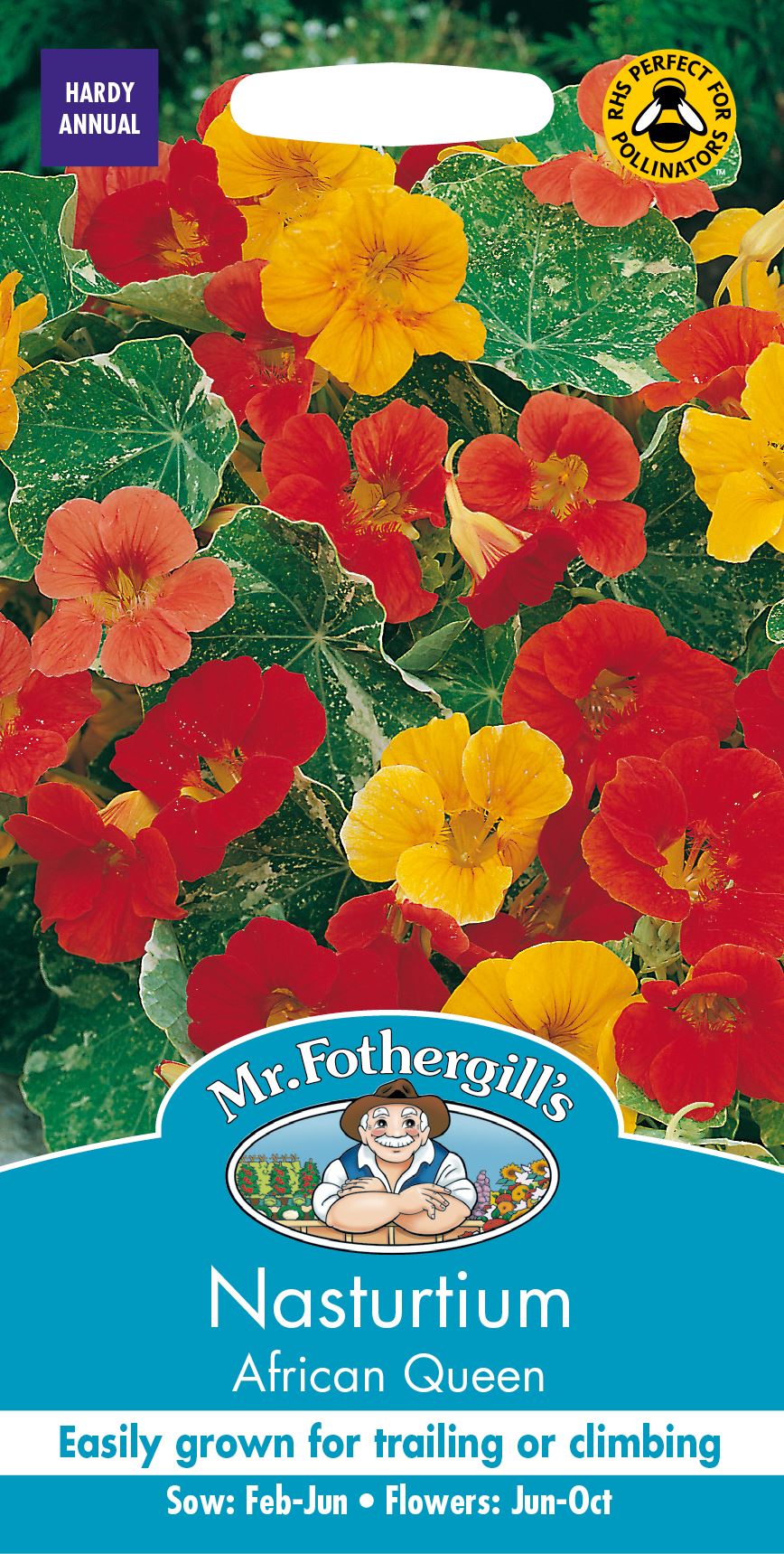 Nasturtium Trailing Mixed Mr Fothergills Flower 35 Seeds