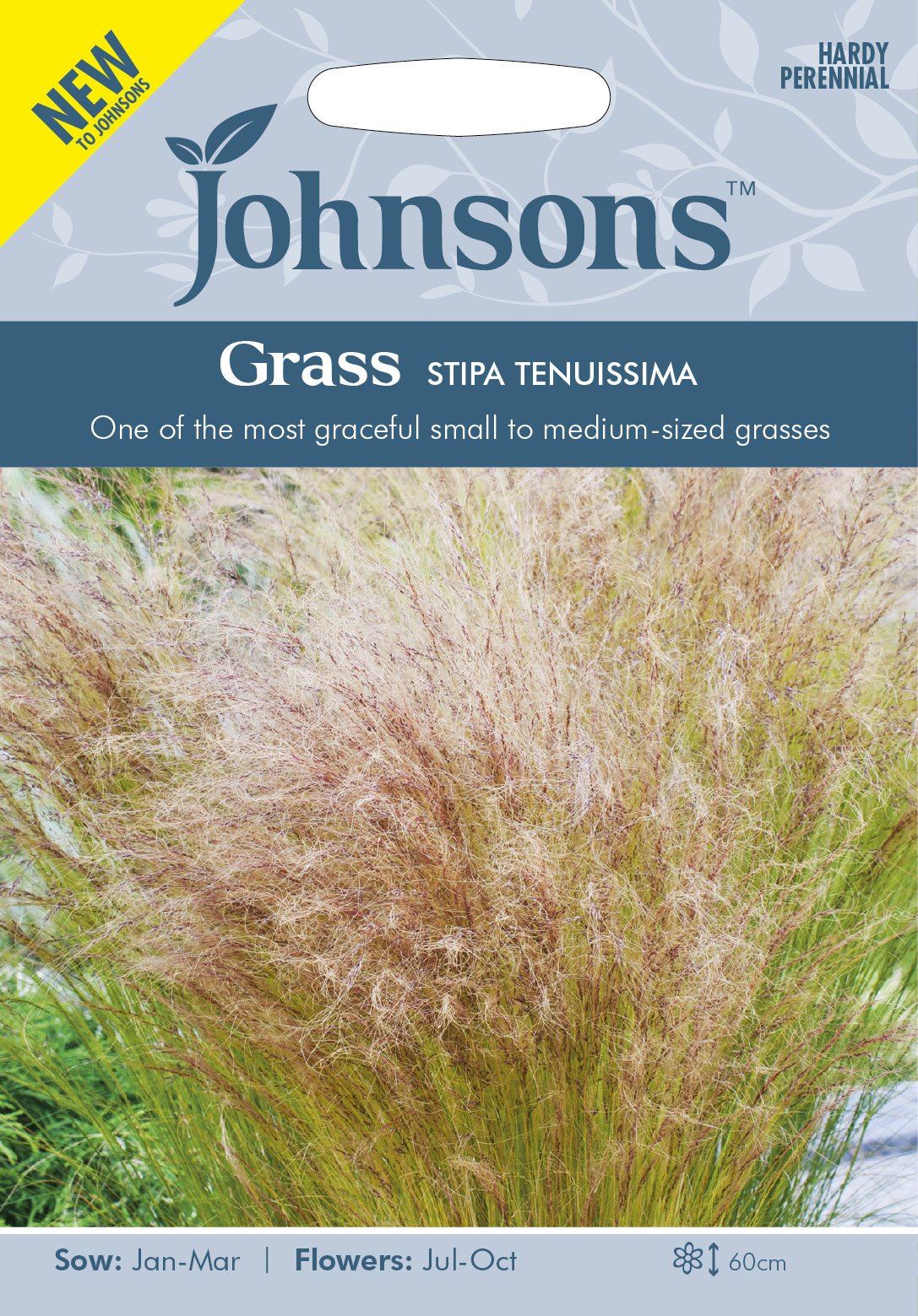 Johnson Seeds Ornamental Grass Stipa Tenuissima 100 Seeds