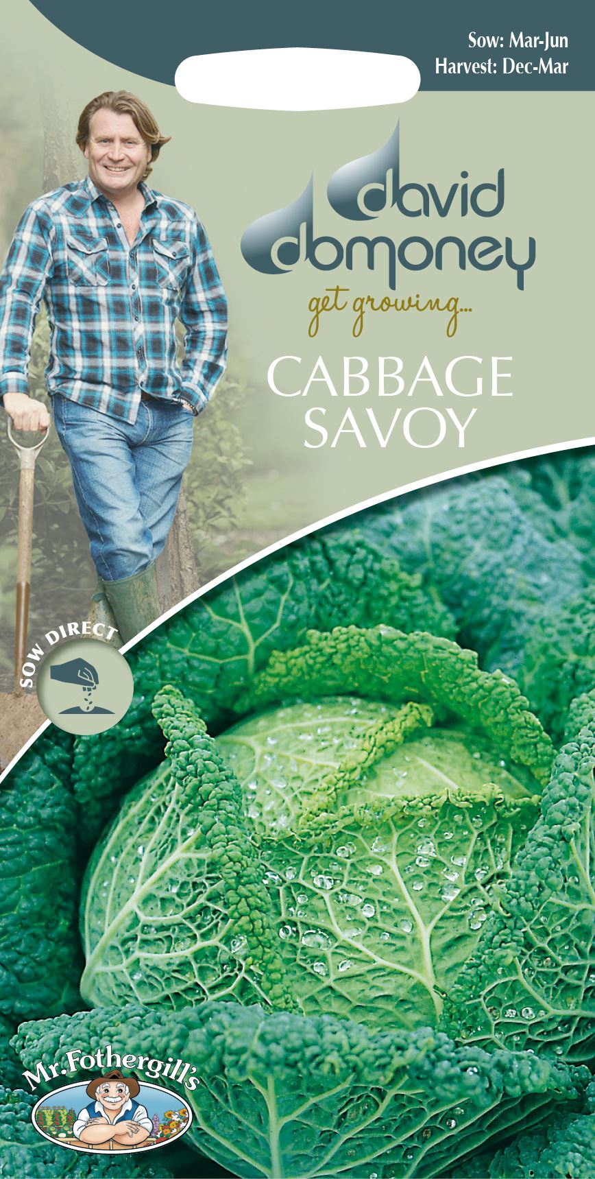 Cabbage - 400 Seeds Ormskirk 1 Johnsons Vegetable Savoy Late