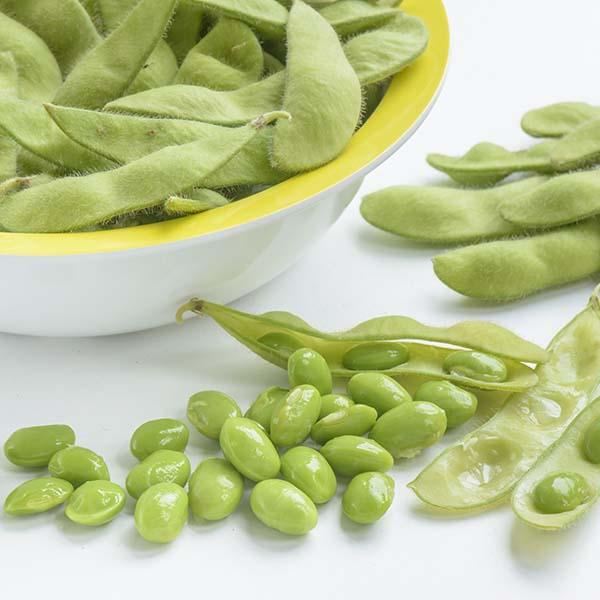 Vegetables Edamame Green Shell 40 Seed eBay