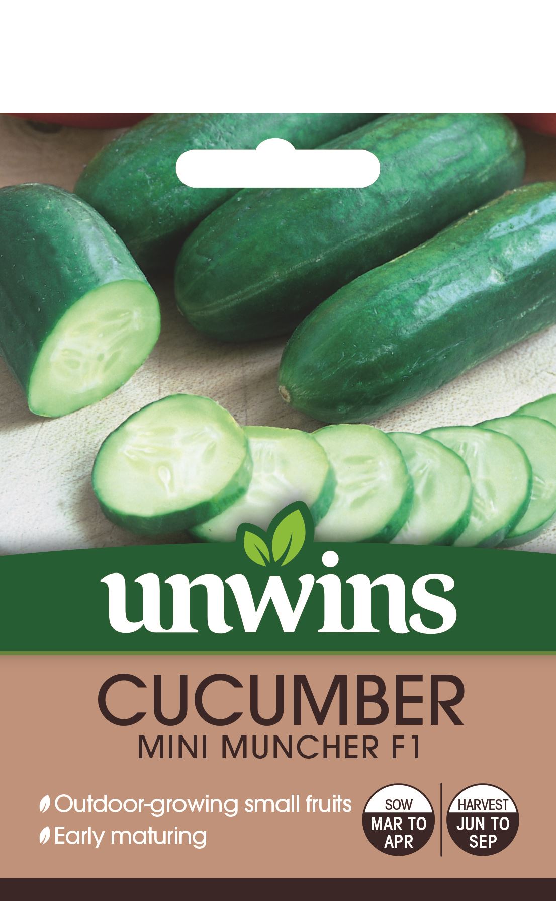 Pack Kings Vegetable Garden Seeds Mini Cucumber 'Cucamelon' Quality Seed