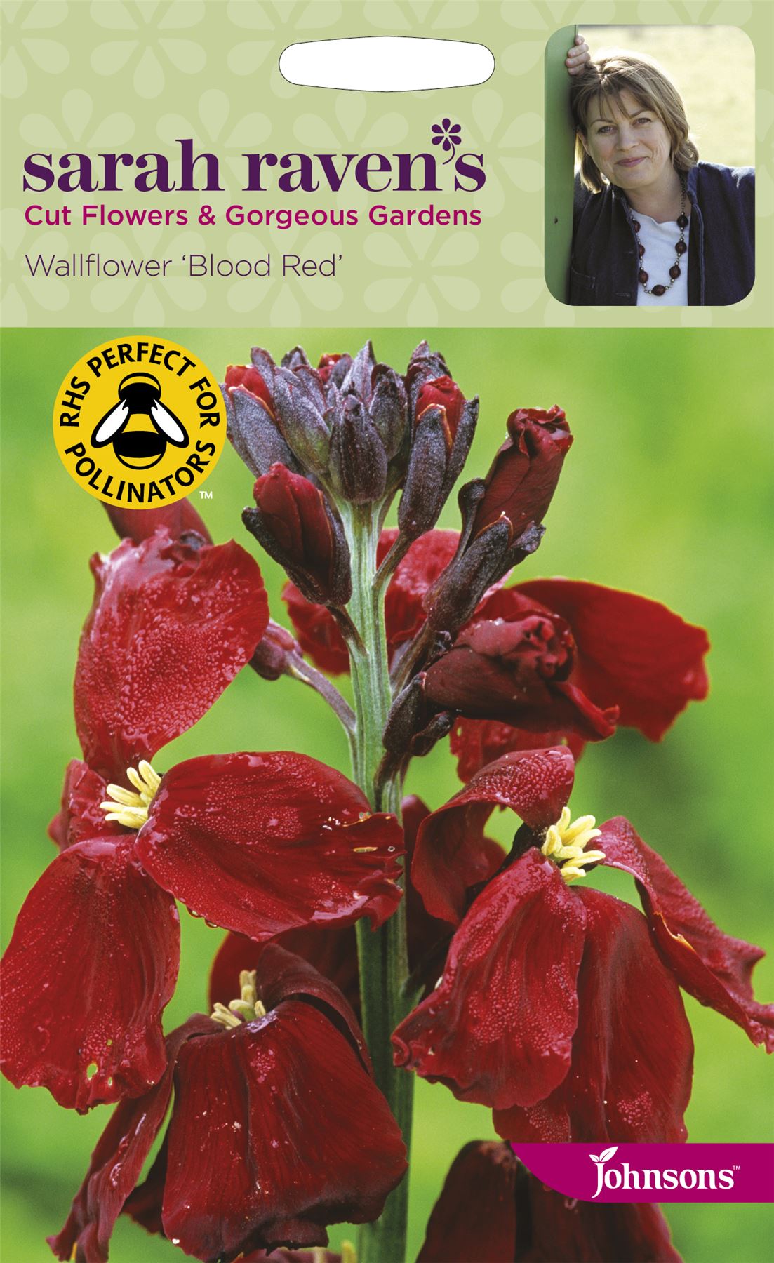 Johnsons Sarah Raven's Cut Flowers Wallflower Blood Red 400 Seeds