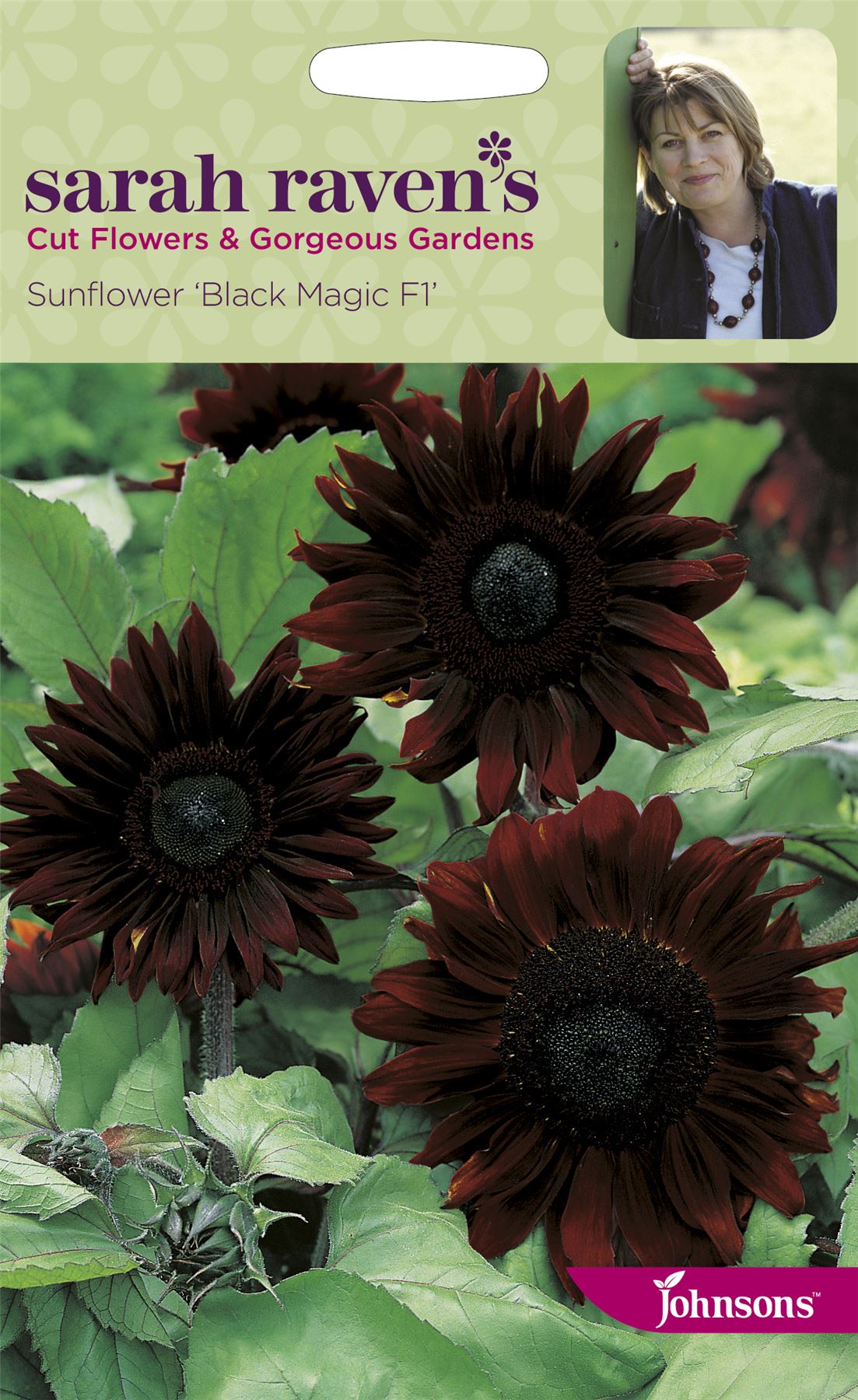 Johnsons Sarah Raven's Cut Flowers Sunflower Black Magic F1 20