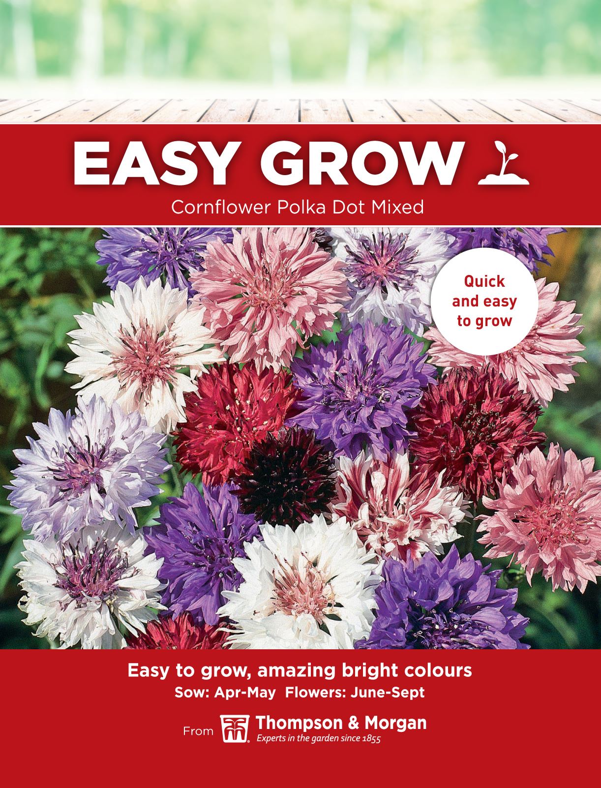 Pictorial Packet Kings Seeds Classic Romantic Cornflower Flower