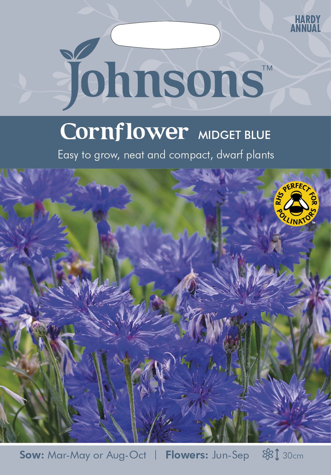 Pictorial Packet Kings Seeds Classic Romantic Cornflower Flower