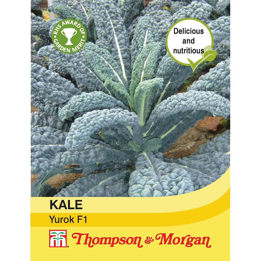 Kale Duo Mix F1 20 Seeds Thompson /& Morgan Vegetable