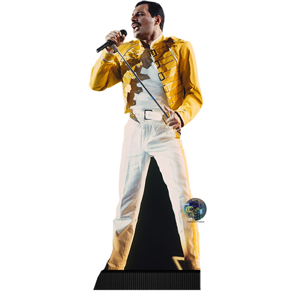 lifesize Standee. Velvet Jacket Cardboard Cutout HP Baxxter