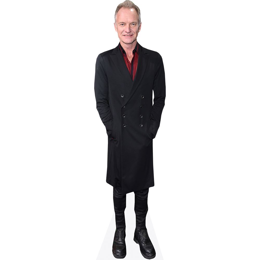 Ritaglio Di Cartone Mini Formato Di Sting (Giacca Nera) - Sagoma Realistica Celebrity Cutouts, 60,5 Cm, Regalo Per Fan - 6