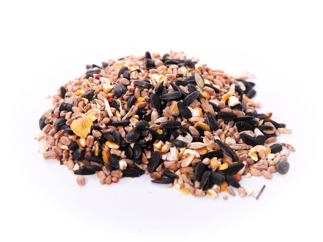 Chubby Select Wild Bird Seed - All Season Garden Bird Food - 4 Sizes Available