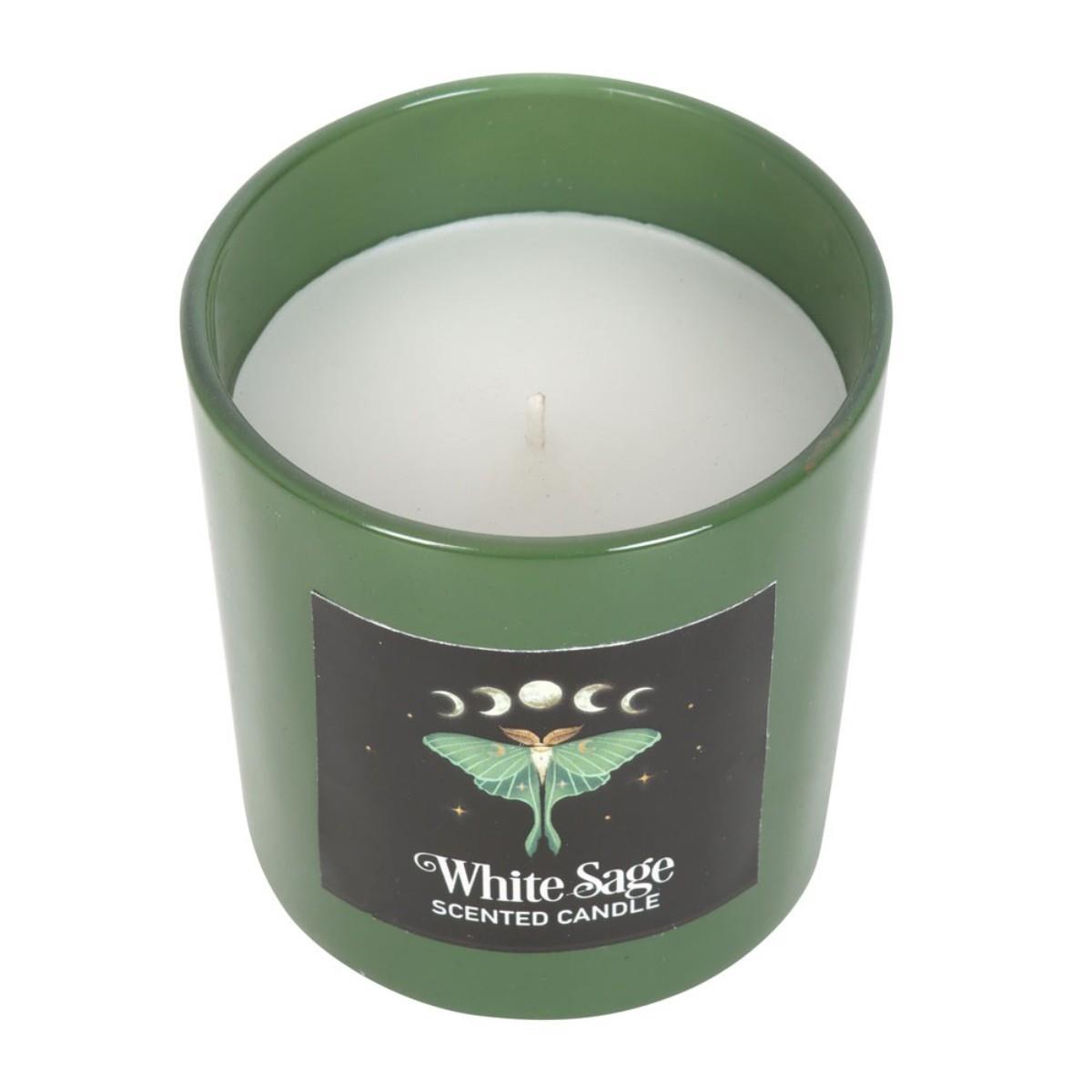 Forest Scented Jar Candles – Mushroom, Bee & Moth | Wildberry, Honey, Sage - Picture 19 of 22