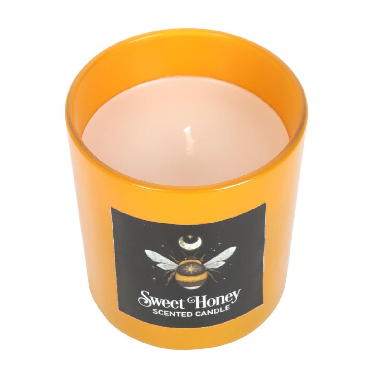Forest Scented Jar Candles – Mushroom, Bee & Moth | Wildberry, Honey, Sage - Picture 5 of 22