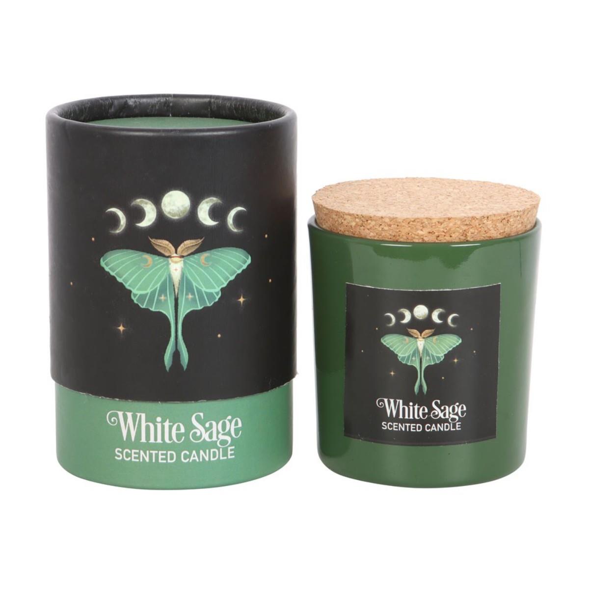 Forest Scented Jar Candles – Mushroom, Bee & Moth | Wildberry, Honey, Sage - Picture 17 of 22
