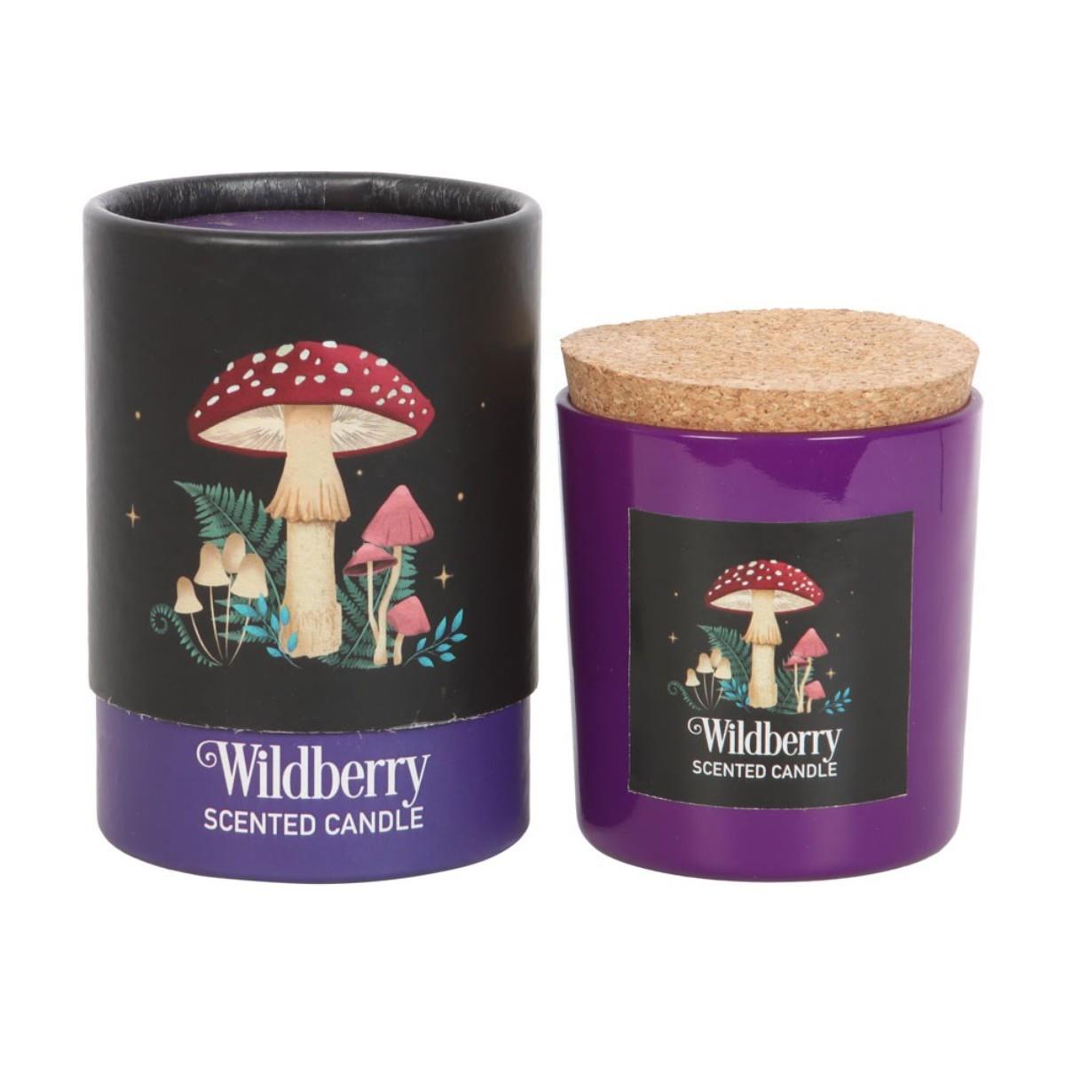 Forest Scented Jar Candles – Mushroom, Bee & Moth | Wildberry, Honey, Sage - Picture 15 of 22