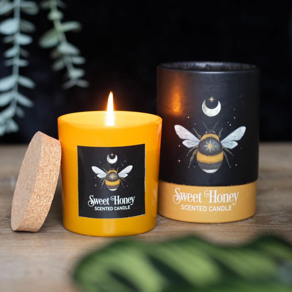 Forest Scented Jar Candles – Mushroom, Bee & Moth | Wildberry, Honey, Sage - Picture 2 of 22