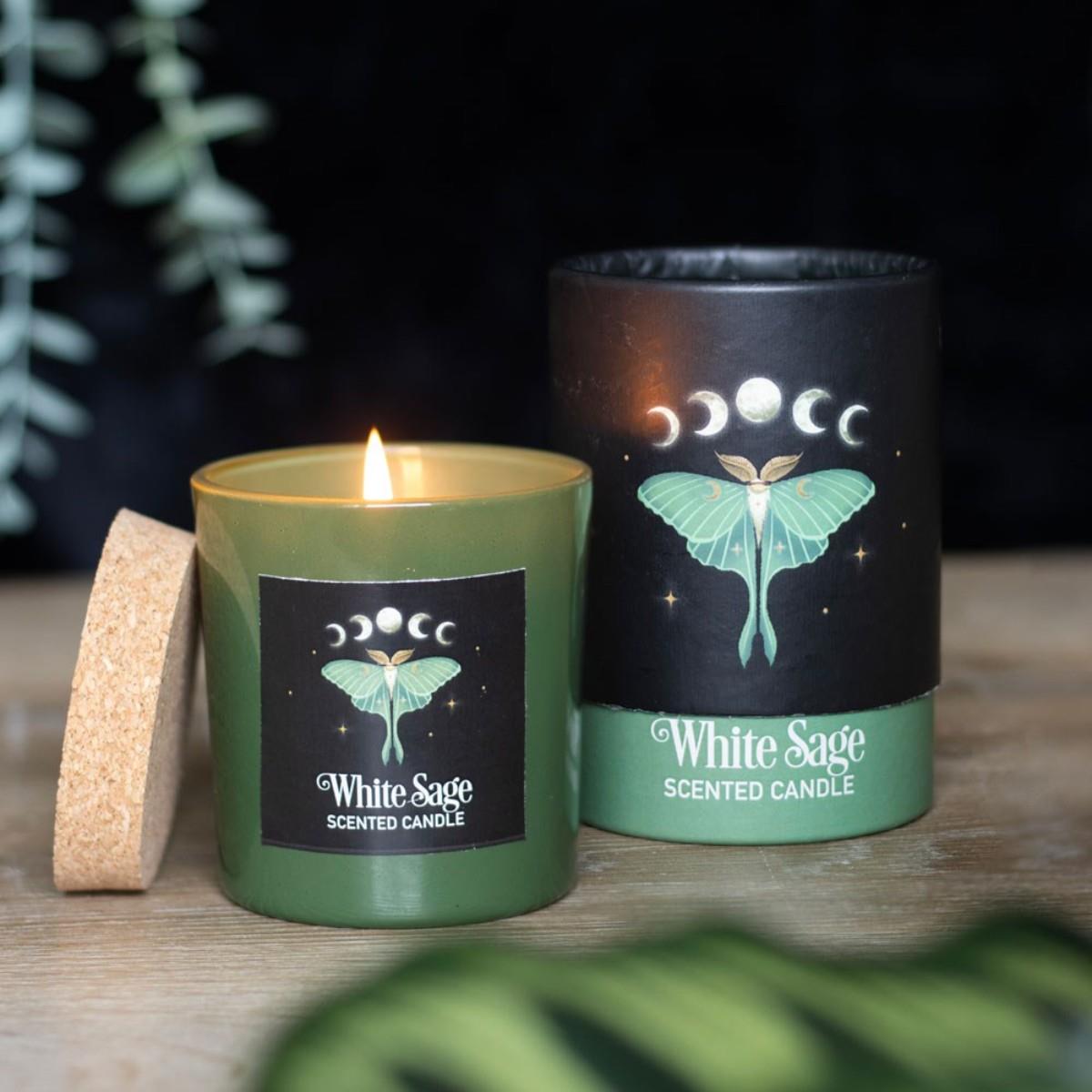 Forest Scented Jar Candles – Mushroom, Bee & Moth | Wildberry, Honey, Sage - Picture 16 of 22