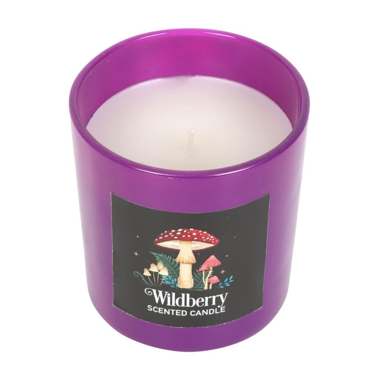 Forest Scented Jar Candles – Mushroom, Bee & Moth | Wildberry, Honey, Sage - Picture 11 of 22