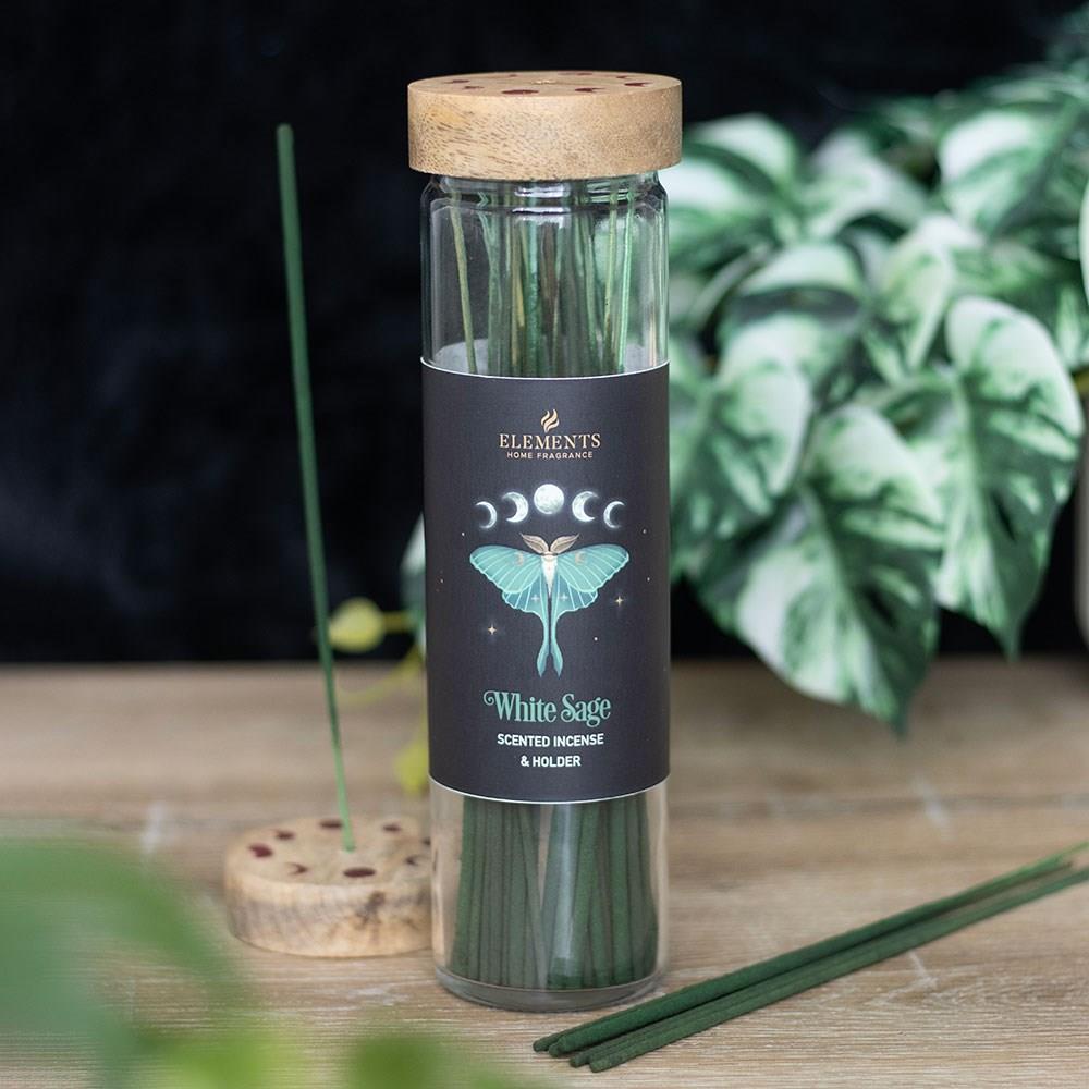 Dark Forest Incense Sticks with Holder – Patchouli, Sweet Honey & More Scents - Picture 13 of 18