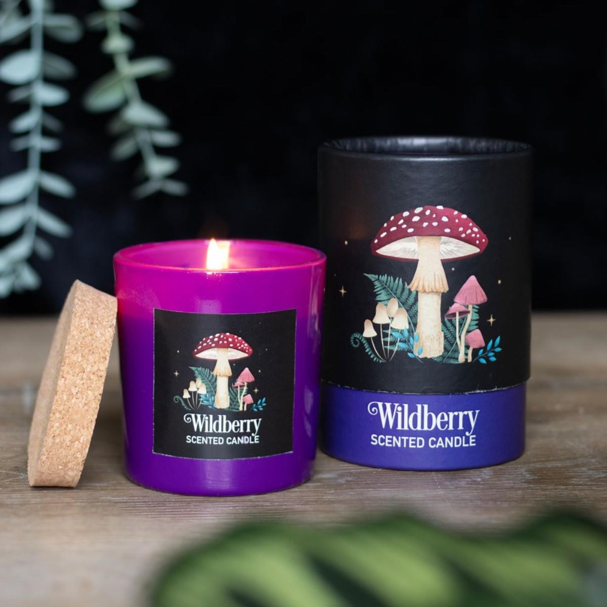 Forest Scented Jar Candles – Mushroom, Bee & Moth | Wildberry, Honey, Sage - Picture 9 of 22