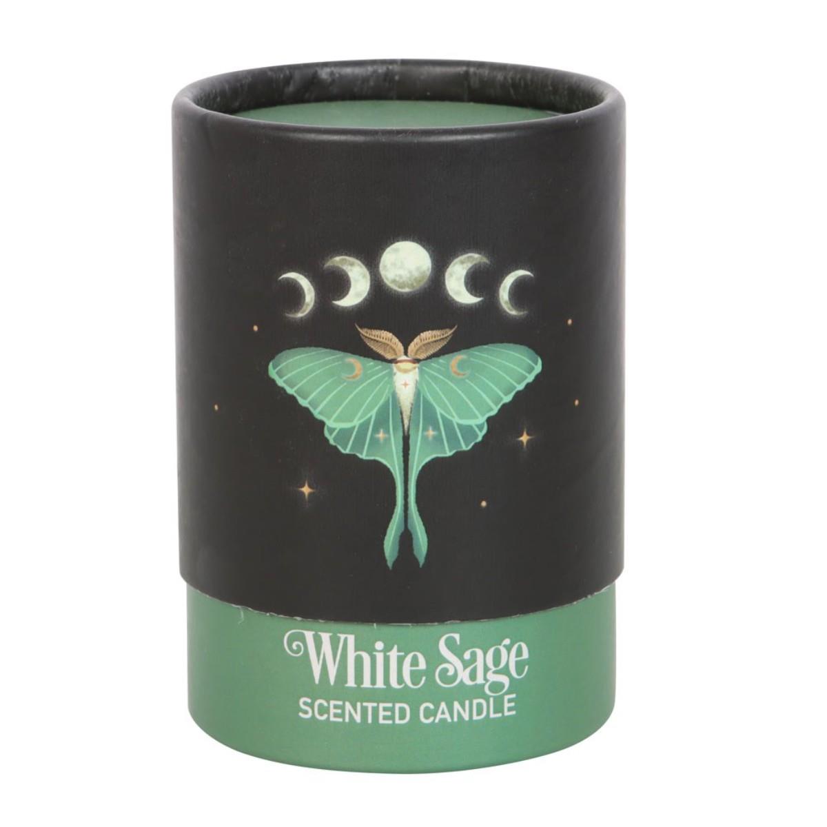 Forest Scented Jar Candles – Mushroom, Bee & Moth | Wildberry, Honey, Sage - Picture 21 of 22