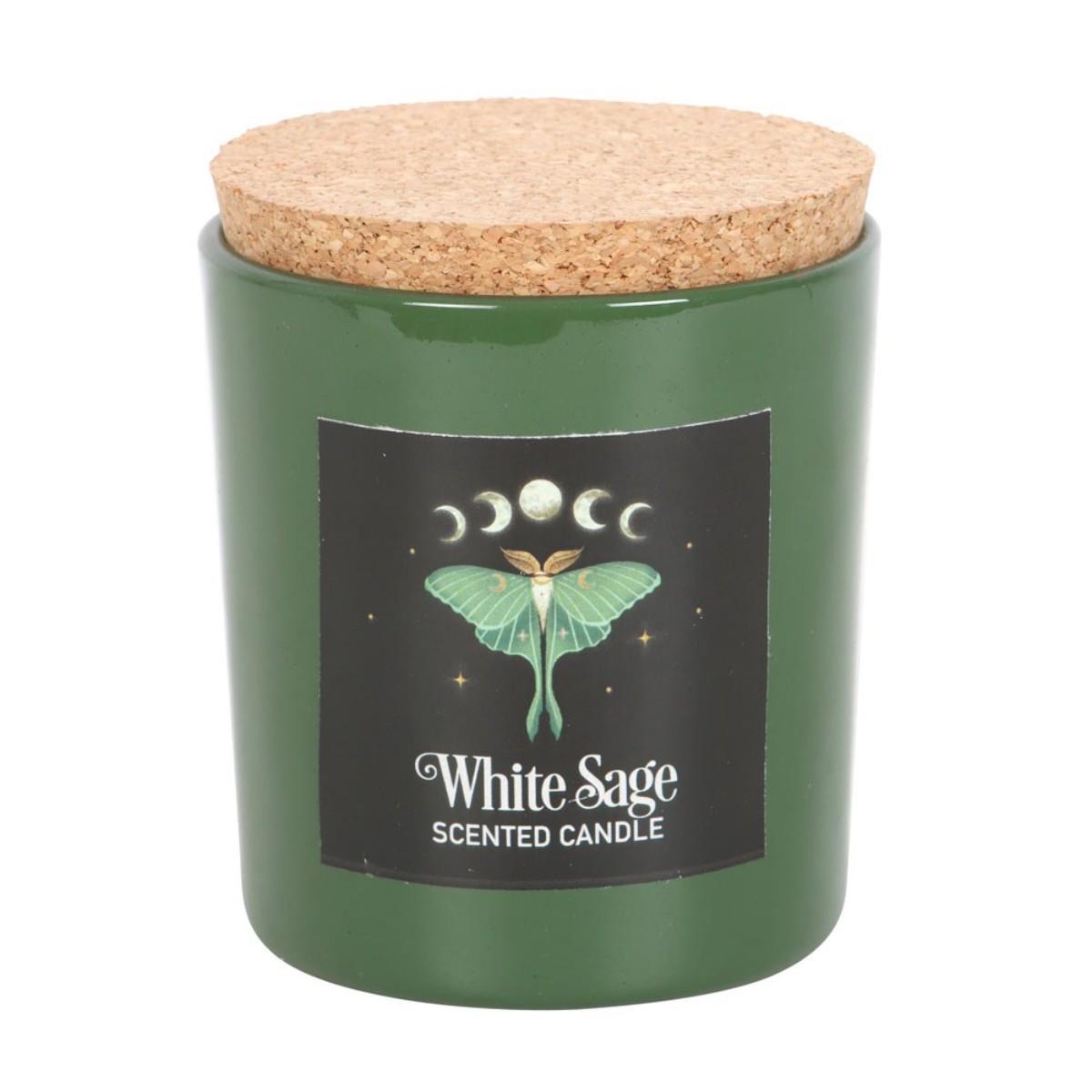 Forest Scented Jar Candles – Mushroom, Bee & Moth | Wildberry, Honey, Sage - Picture 22 of 22
