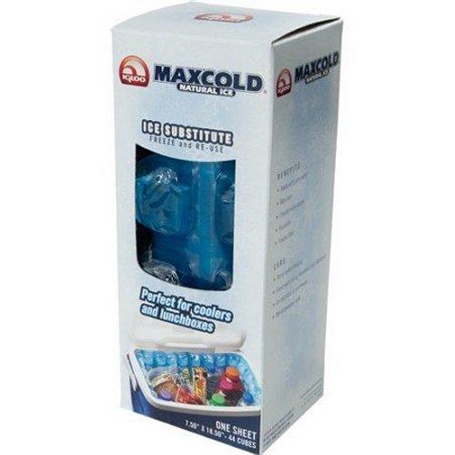 igloo maxcold cube