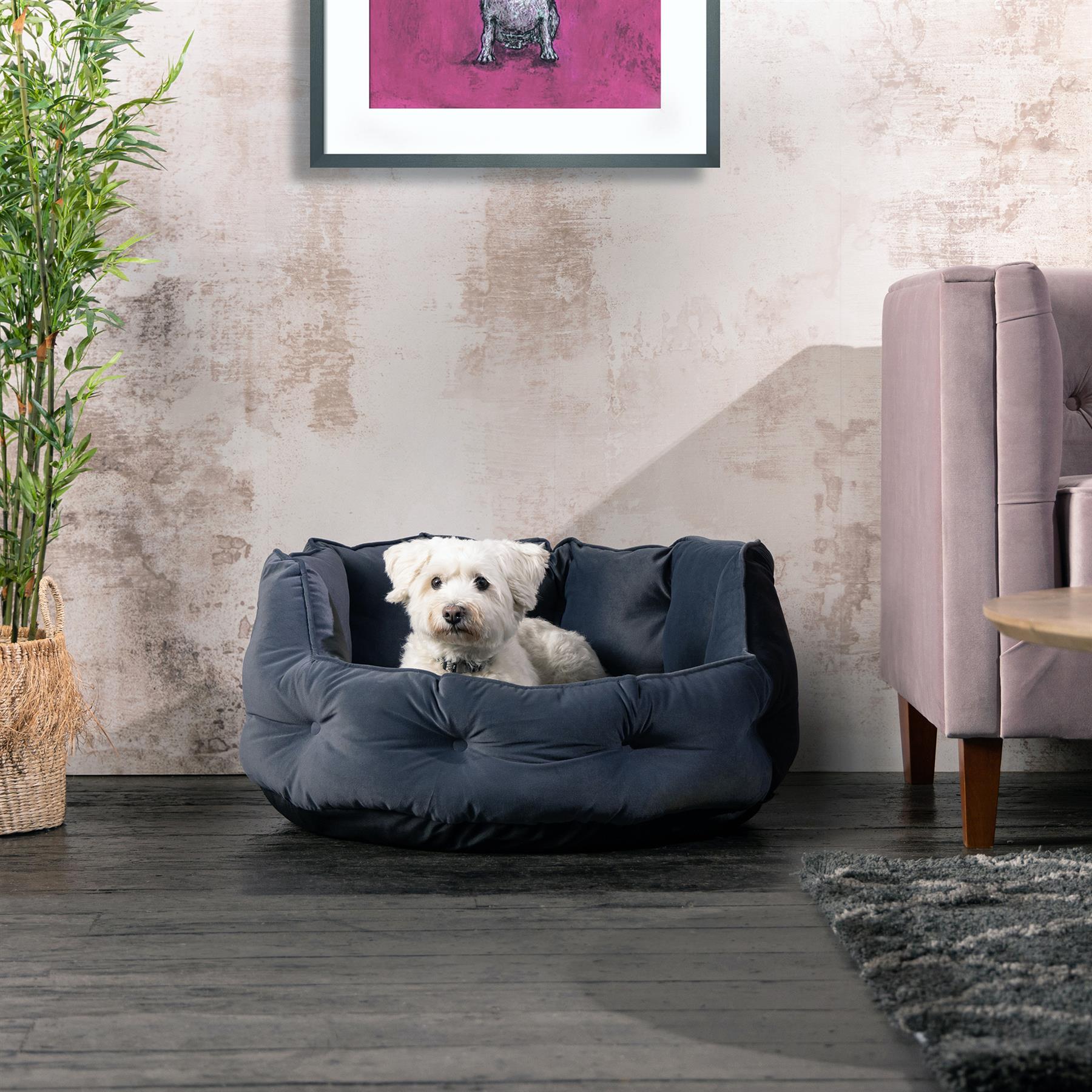 Bunty Cuccia per Cani S/M/L/XL Resistente agli Strappi all'Acqua, Gatto, Cucciolo, Cani da Media a Grande - Foto 18 di 30