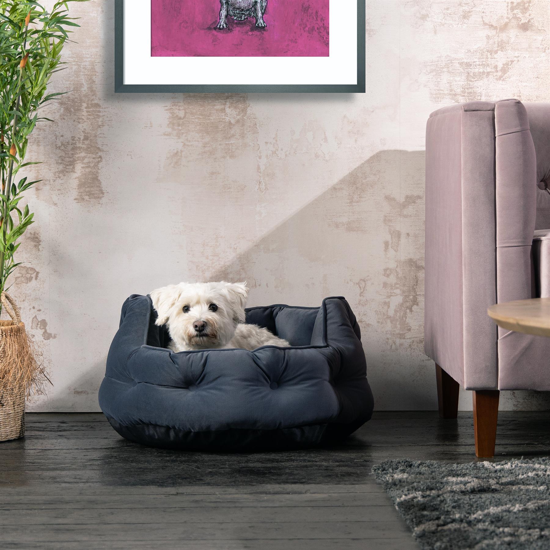 Bunty Cuccia per Cani S/M/L/XL Resistente agli Strappi all'Acqua, Gatto, Cucciolo, Cani da Media a Grande - Foto 13 di 30