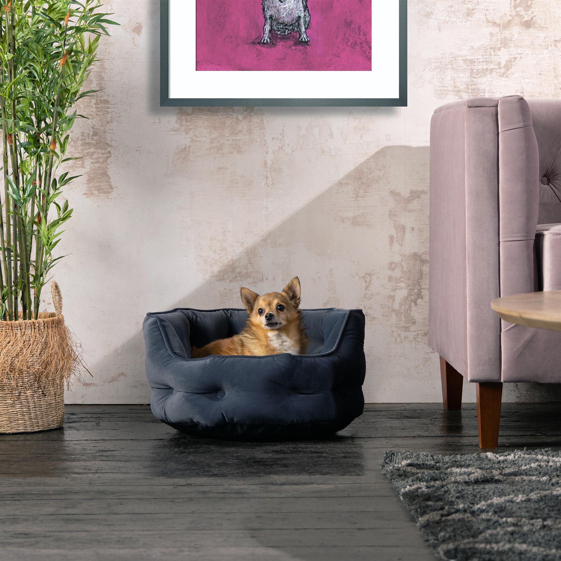 Bunty Cuccia per Cani S/M/L/XL Resistente agli Strappi all'Acqua, Gatto, Cucciolo, Cani da Media a Grande - Foto 7 di 30