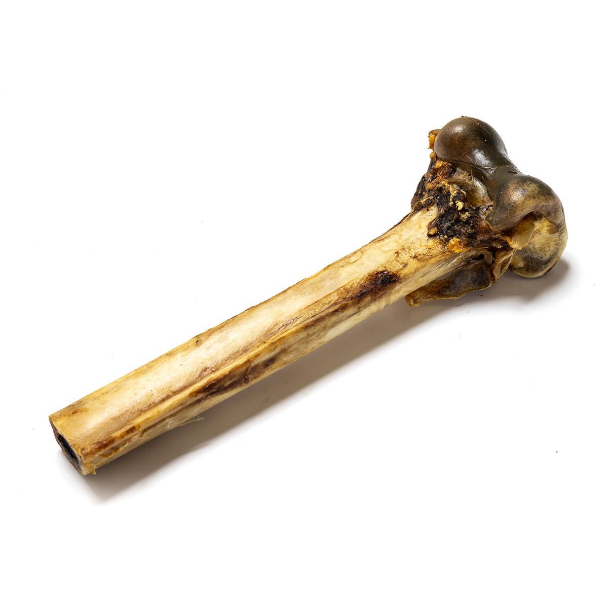 Ostrich Bones (1pc & 5pcs) 100% Natural Hypoallergenic High Calcium Dog Treats