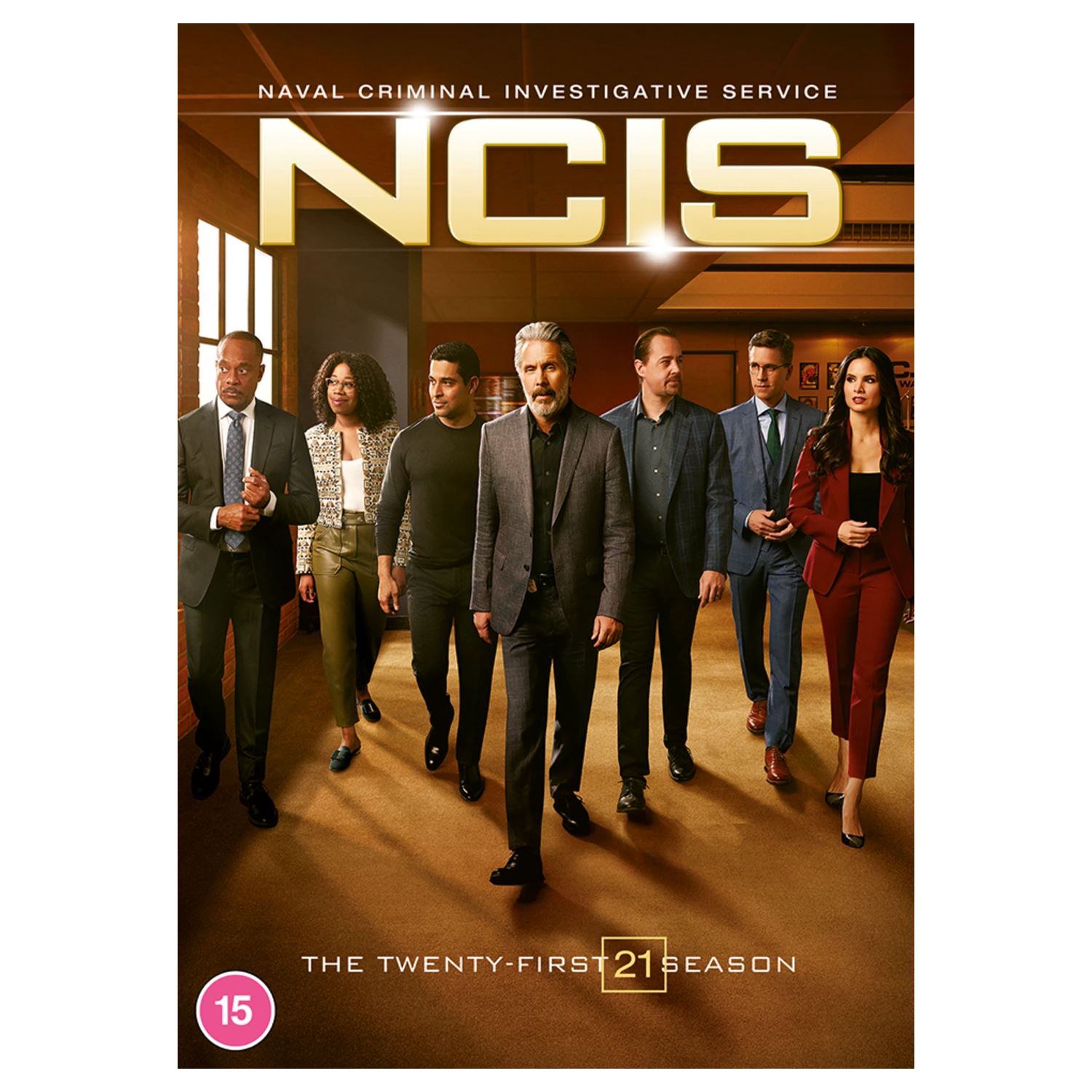NCIS: Season 21 [15] DVD Box Set | eBay UK