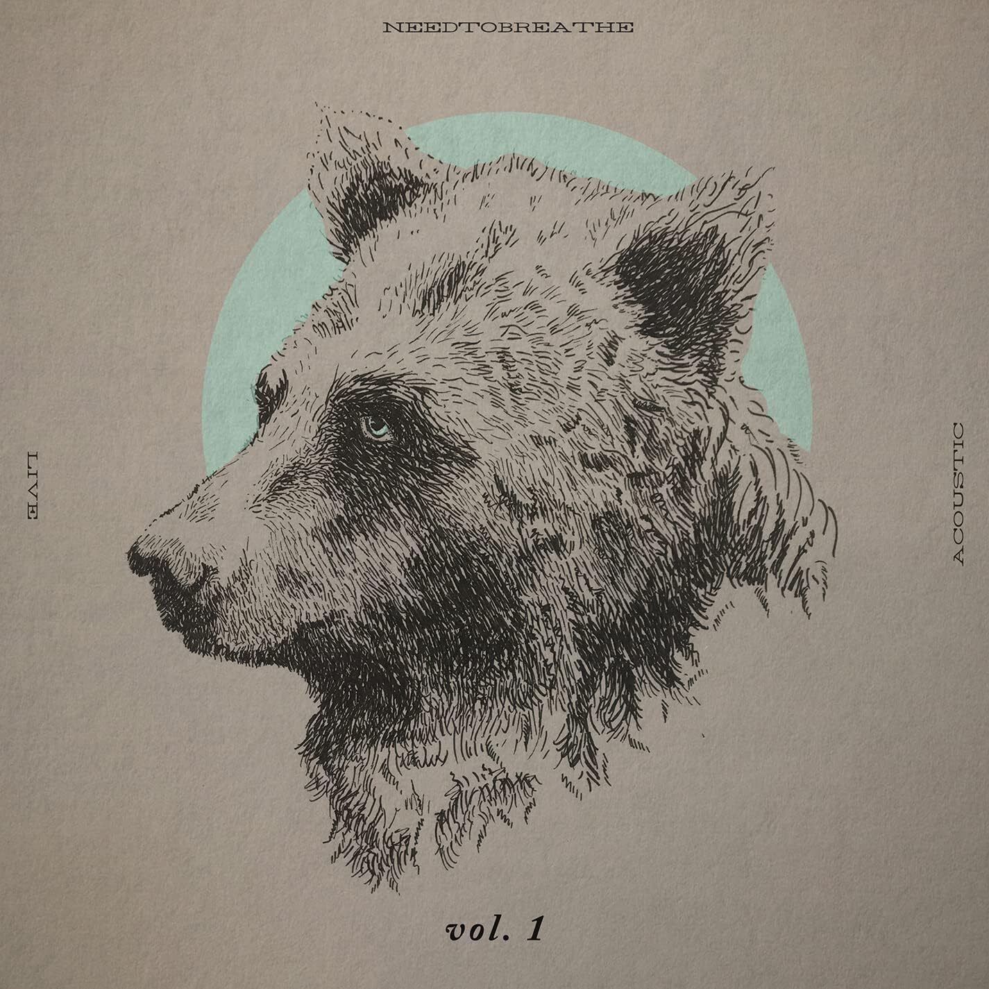 Needtobreathe Acoustic Live Vol. 1 Double LP Vinyl NEW - Image 4
