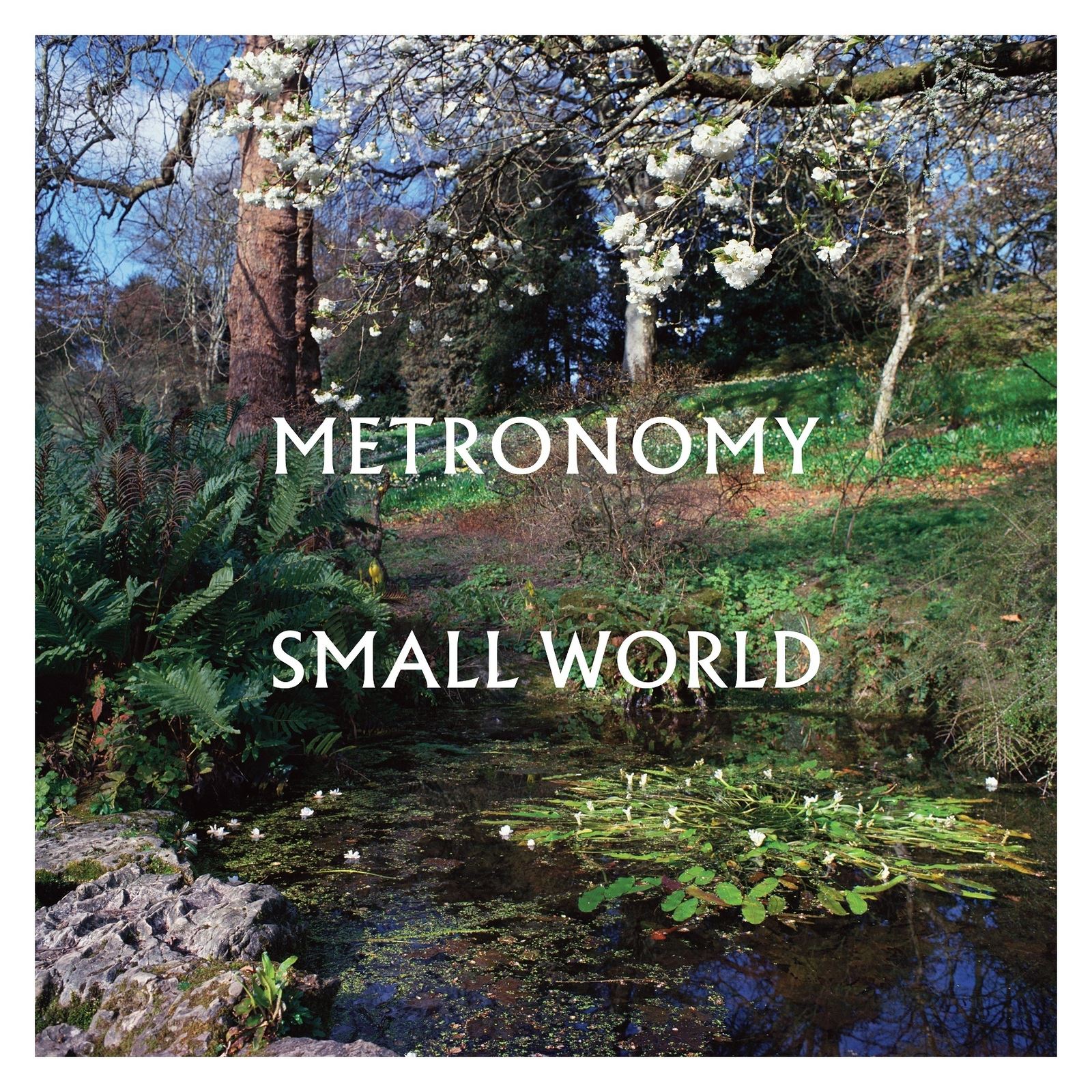 Small World - Image 6
