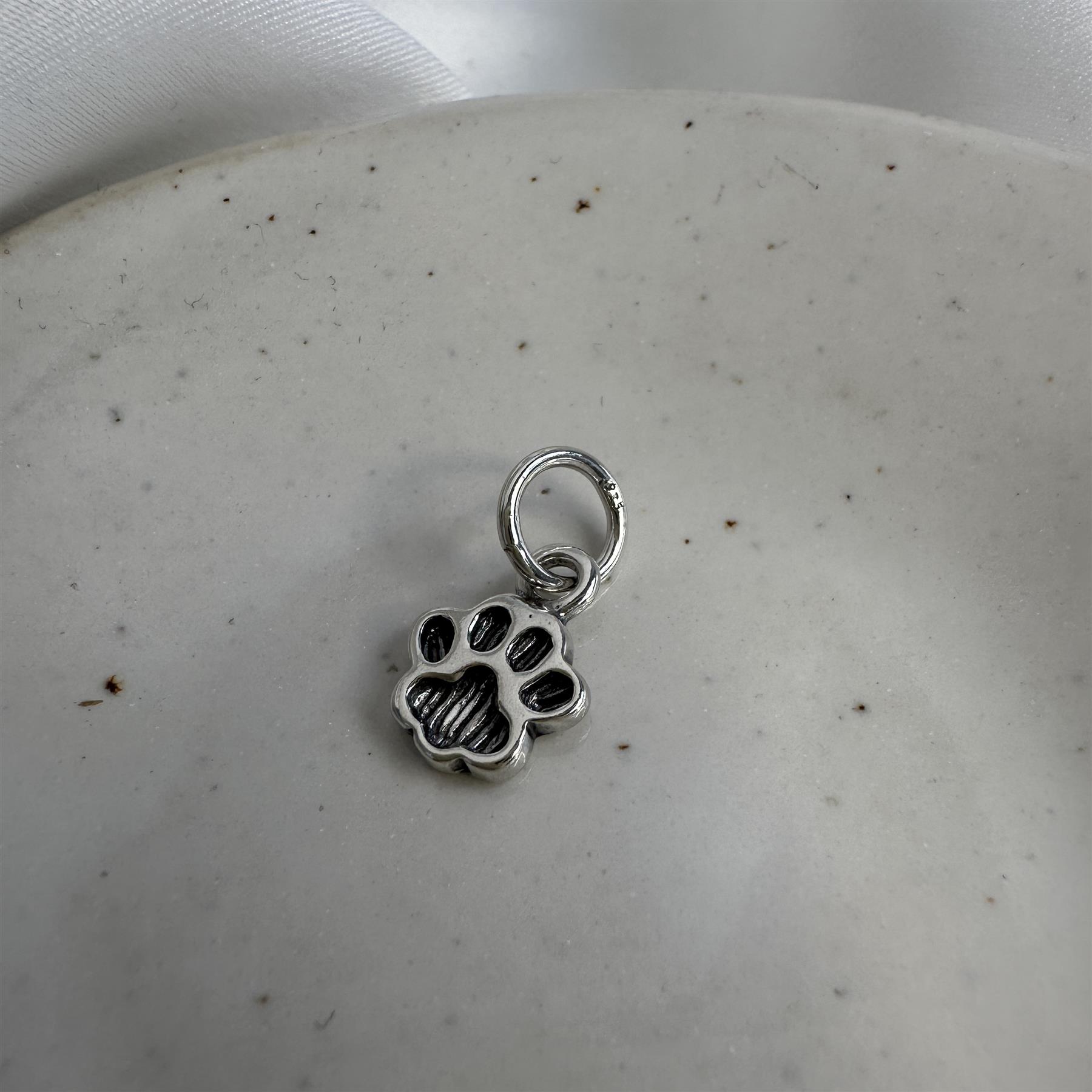 Charm Empreinte de Patte en Argent 925/1000