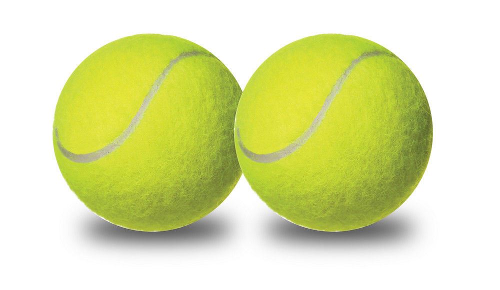 Dog Tennis Ball Launcher Bazooka Gun Cannon Pet Puppy Toy eBay