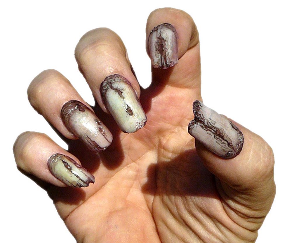 Creepy Claws Fake Claws Werewolf Gremlin Witch Vampire Nails Dental 