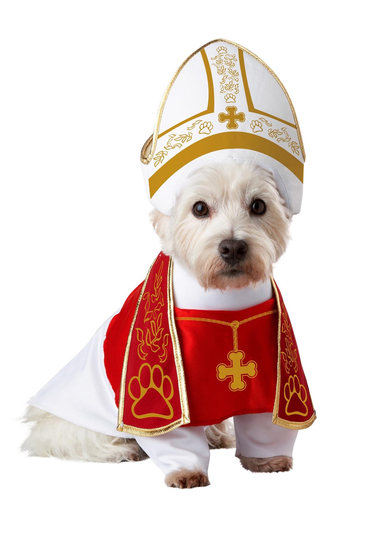 Disfraz de Perro Papa Sabueso Sagrado Mascota California Disfraz Colección Divertido - Imagen 5 de 5