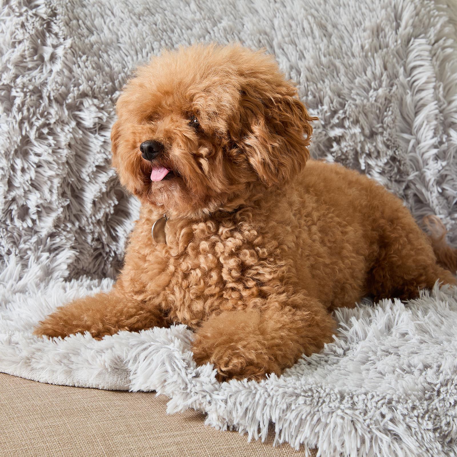 OHS Pet Fleece Throw Fluffy Calming Foldable Travel Dog Puppy Cat Blanket