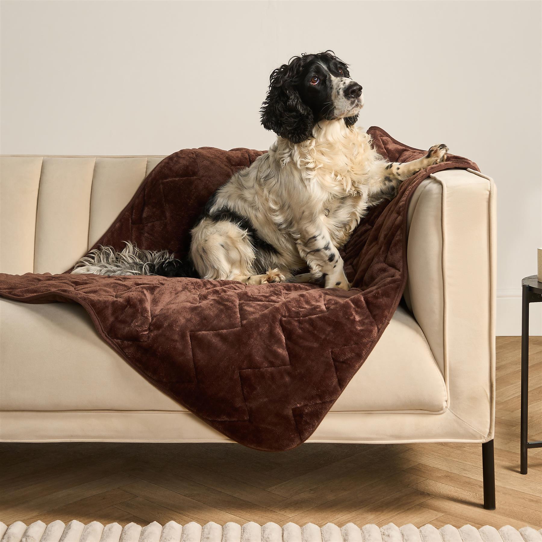 OHS Thermal Pet Blanket Winter Warm Soft Fleece Quilted Throw for Dog Cat