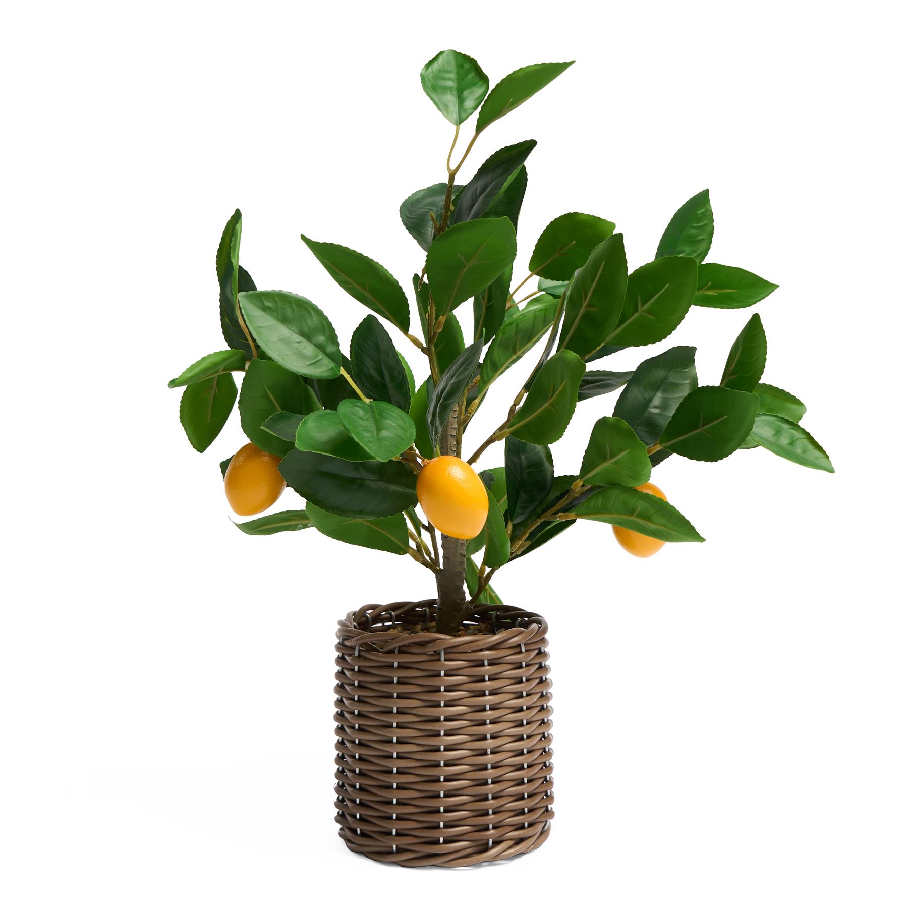 OHS Artificial Tree Plant Foliage in Basket Pot Palm Olive Leaves Tabletop Decor