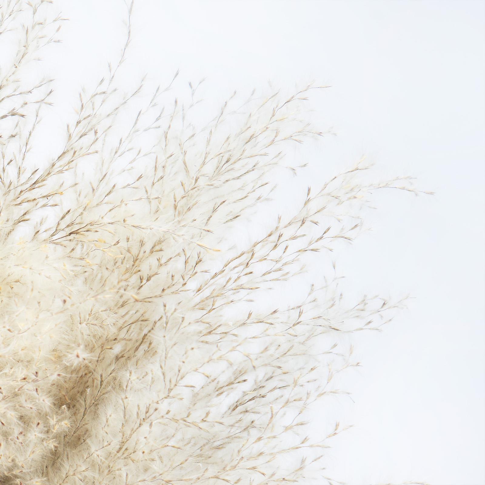 Pampas Grass Faux Fluffy in Vase Artificial Natural Style Plant Decorative Home
