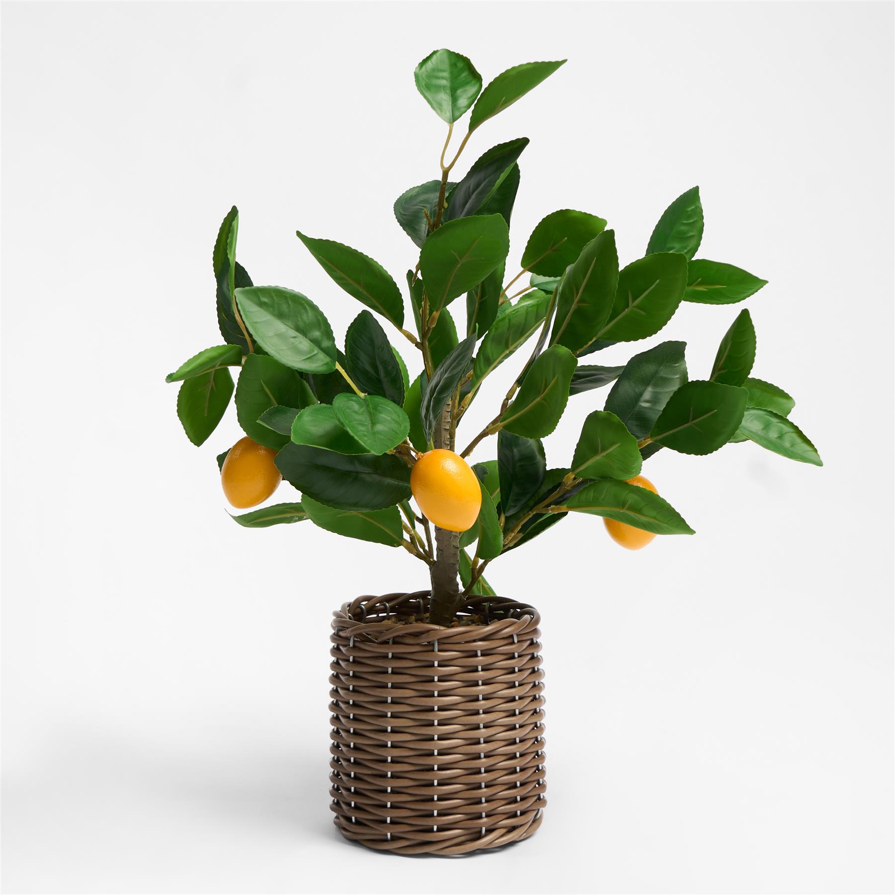 OHS Artificial Tree Plant Foliage in Basket Pot Palm Olive Leaves Tabletop Decor